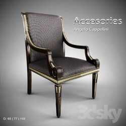 Chair - Angelo Cappelini _ Accesories 