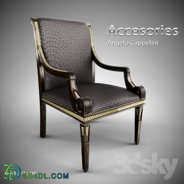 Chair - Angelo Cappelini _ Accesories