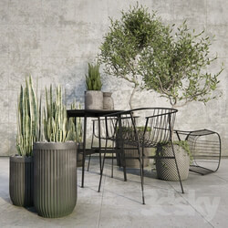 Table _ Chair - Outdoor_plant_set 