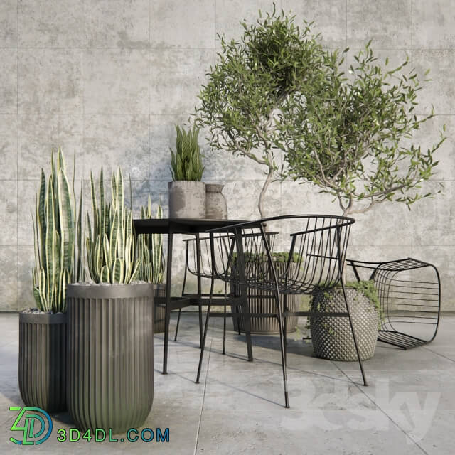 Table _ Chair - Outdoor_plant_set