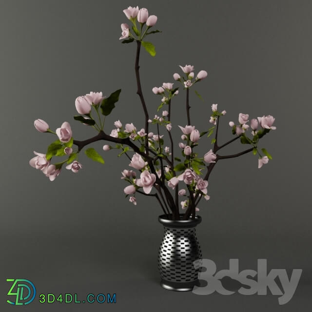 Plant - Flowers in a vase