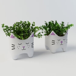 Plant - Plant with cat vases 