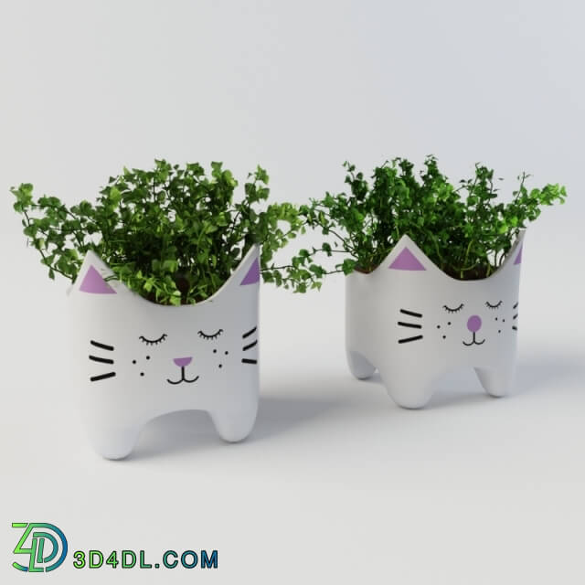 Plant - Plant with cat vases