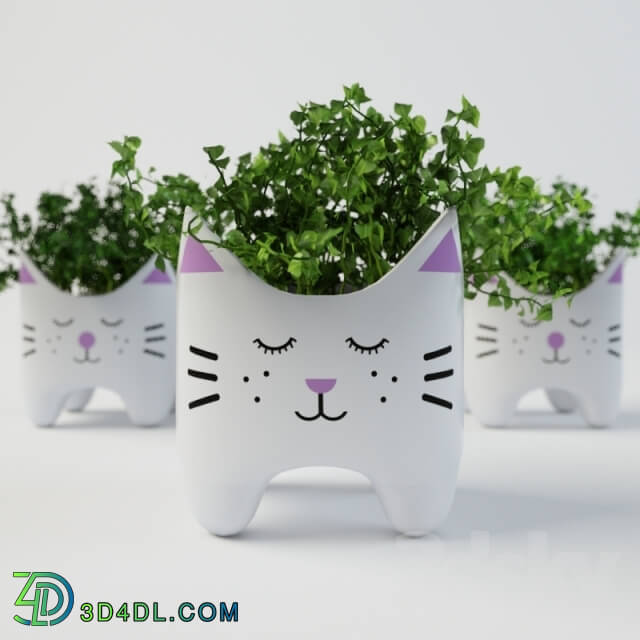 Plant - Plant with cat vases