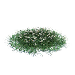 ArchModels Vol126 (006) simple grass large v3 