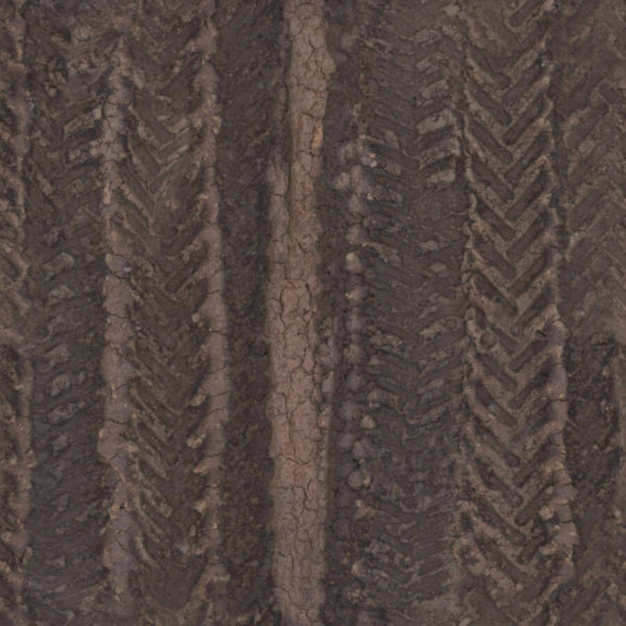 Ground Tire Tracks Wet (001)