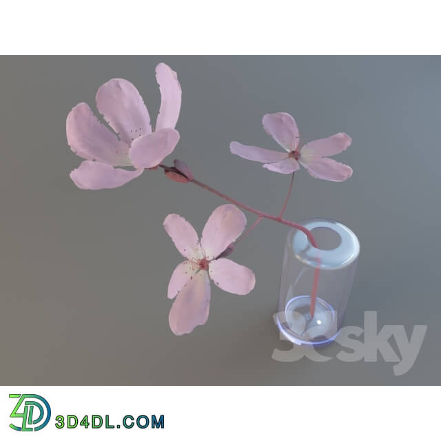 Plant - Pink flower