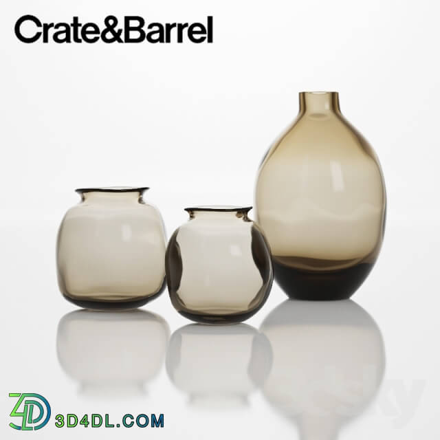 Vase - Crate _amp_ Barrel Vases