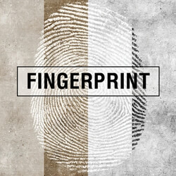 Wall covering - Factura _ Fingerprint 