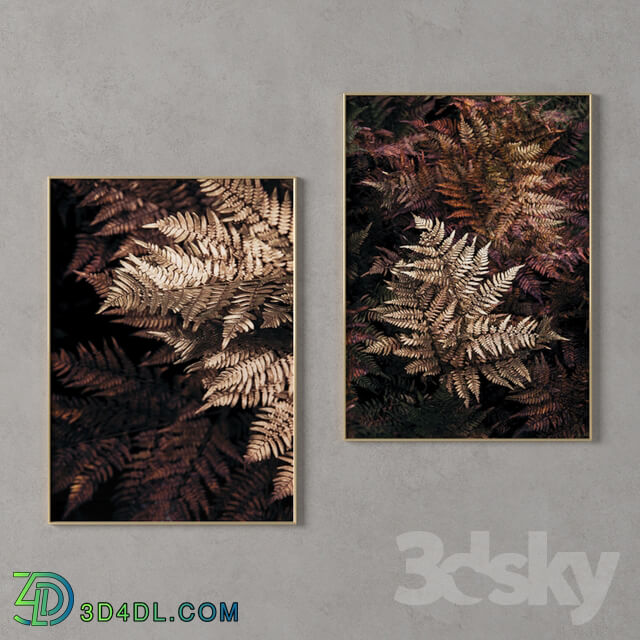 Frame - Gallery Wall_039