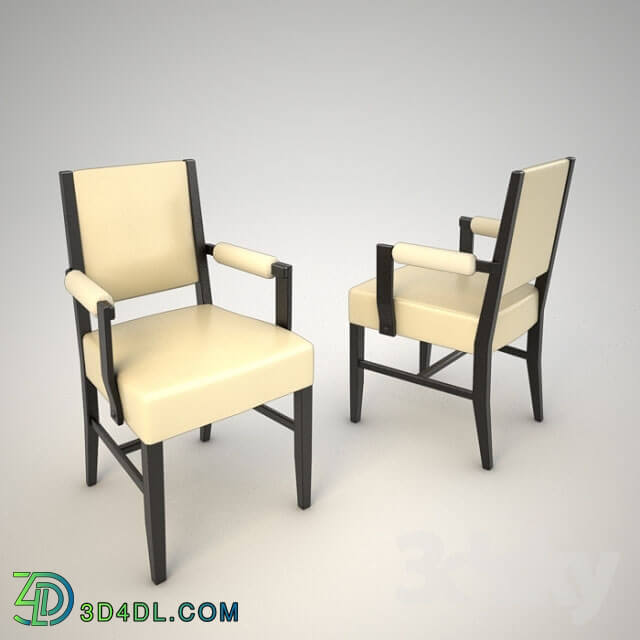 Chair - chair p9 lizard