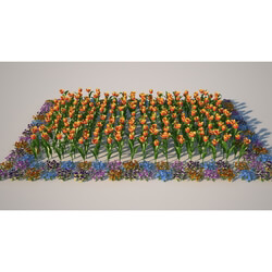 3dMentor HQFlowers2 tulips flowerbed (01) 