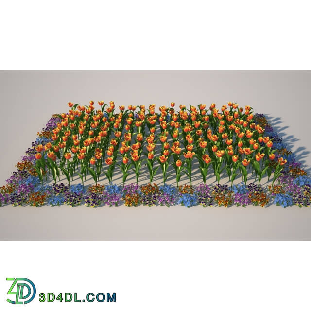 3dMentor HQFlowers2 tulips flowerbed (01)