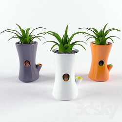 Plant - Vase 