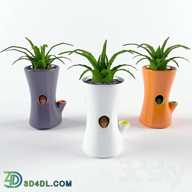 Plant - Vase