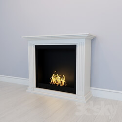 Fireplace - Biofireplace COLOMBIA 