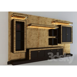 Wardrobe _ Display cabinets - contemporary library 