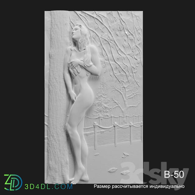 3D panel - B-50