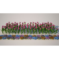 3dMentor HQFlowers2 tulips flowerbed (02) 