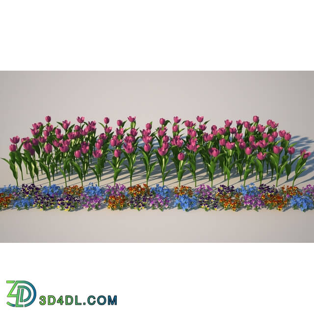 3dMentor HQFlowers2 tulips flowerbed (02)