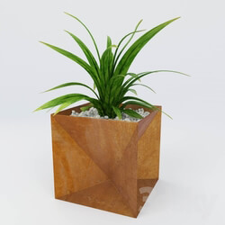 Plant - The Origami Planter 