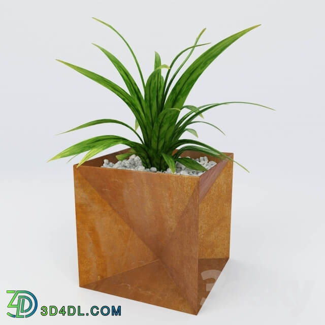 Plant - The Origami Planter