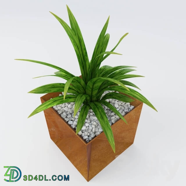 Plant - The Origami Planter