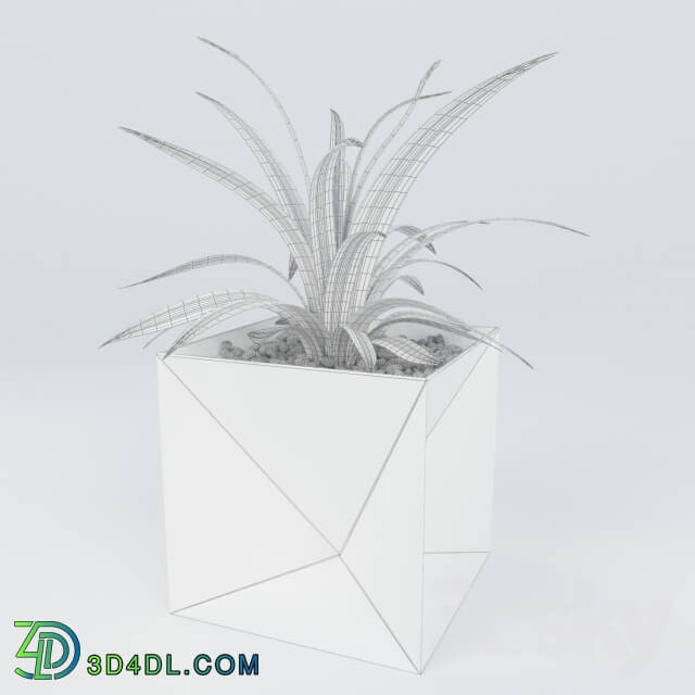 Plant - The Origami Planter