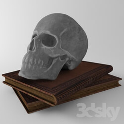 Decorative set - Skull _ book 