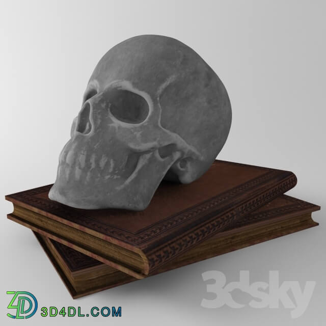 Decorative set - Skull _ book
