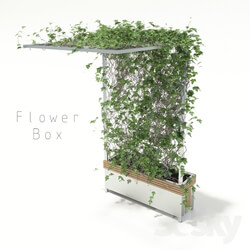 Plant - flower box 