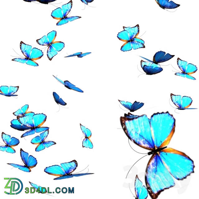 Creature - butterflies
