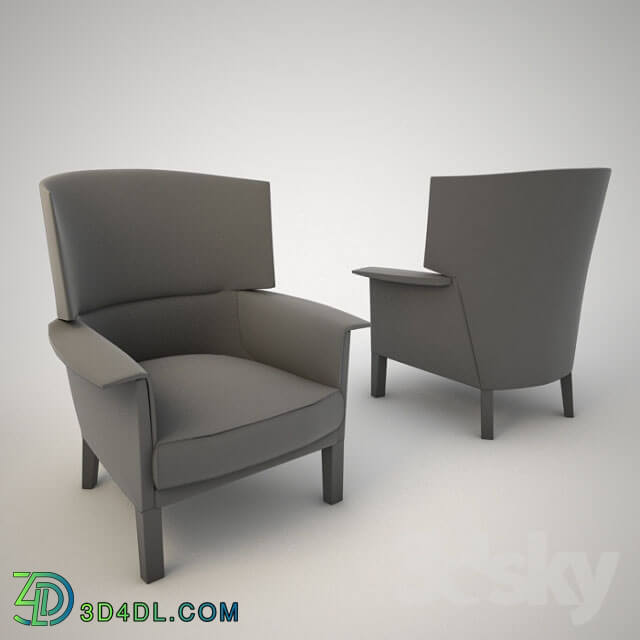 Arm chair - de Sede ds-168