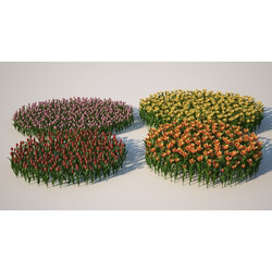 3dMentor HQFlowers2 tulips flowerbed (03) 