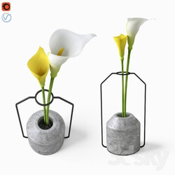 Plant - Calla in Weight Vases by Decha Archjananu _ Callas 
