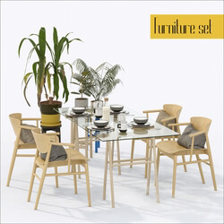 Table _ Chair - Furniture set 