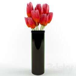 Plant - Tulips in a Vase 