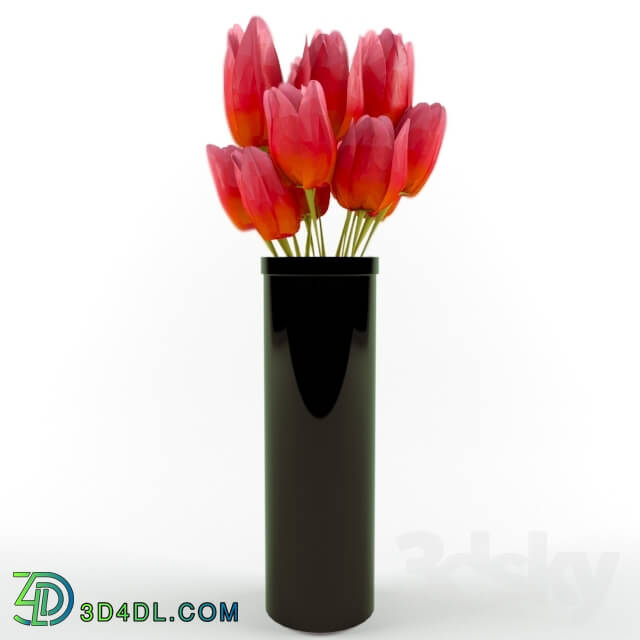 Plant - Tulips in a Vase