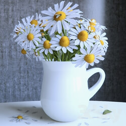 Plant - Bouquet of daisies 