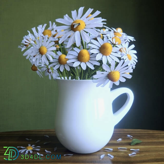 Plant - Bouquet of daisies