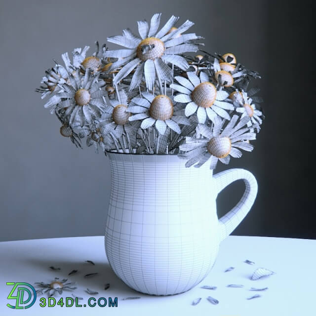 Plant - Bouquet of daisies