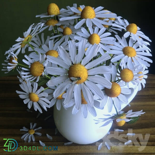 Plant - Bouquet of daisies