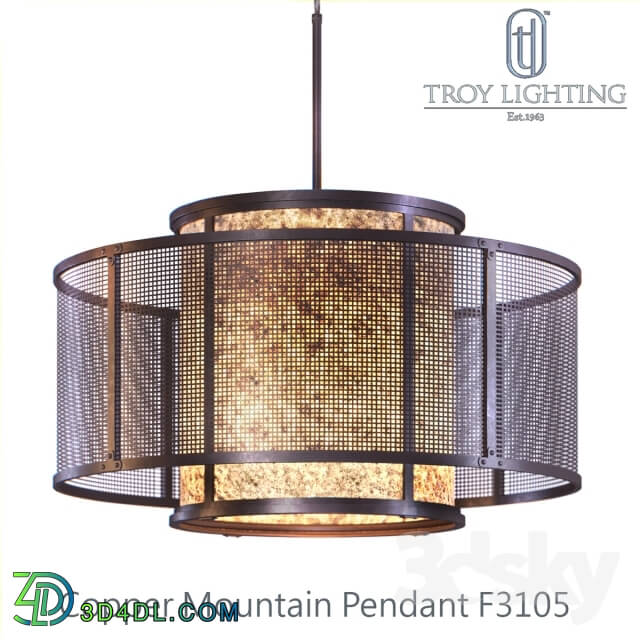 Ceiling light - Copper Mountain F3105 Pendant _By Troy Lighting_