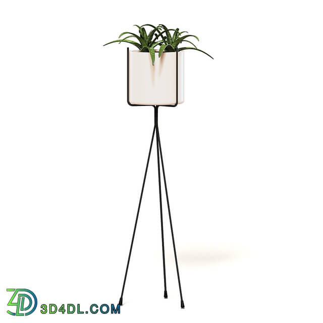CGaxis Vol111 (04) plant on tall rack