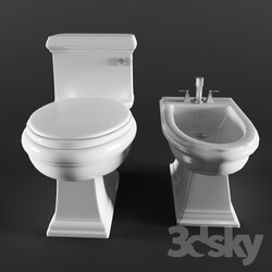 Toilet and Bidet - The toilet and bidet 