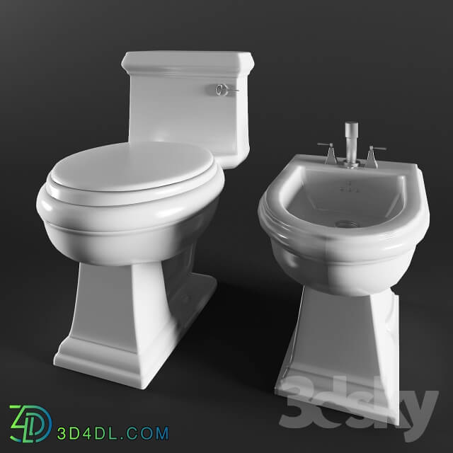 Toilet and Bidet - The toilet and bidet