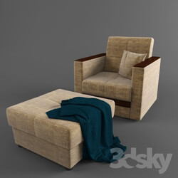Arm chair - sofa 