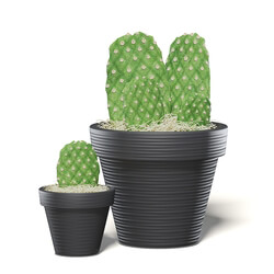 CGaxis Vol111 (05) cactuses in black pot 