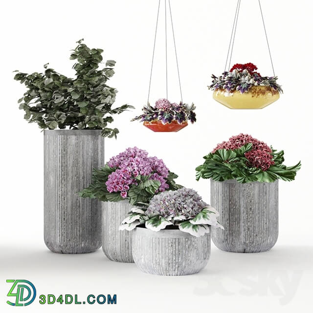 Plant - Pottery Barn_Planters