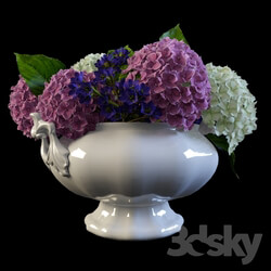 Plant - Hydrangea in a vase 